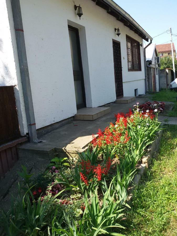 Apartman Romy Pančevo Exterior foto